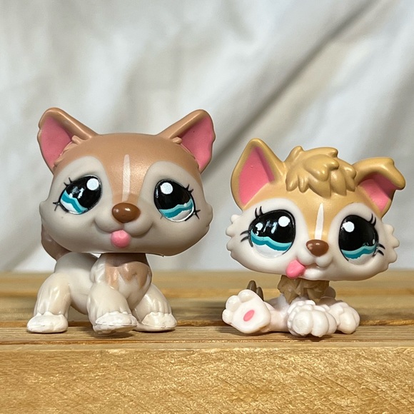 Littlest Pet Shop Toys Husky Set Littlest Pet Shop Cozy Care Adoption Center Pets Poshmark